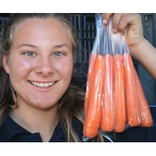 NEW SEASONS SPRING CARROTS 750 Gram Bag Pukekohe Grown